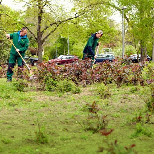 Mitarbeiter bei der Grünflächenpflege